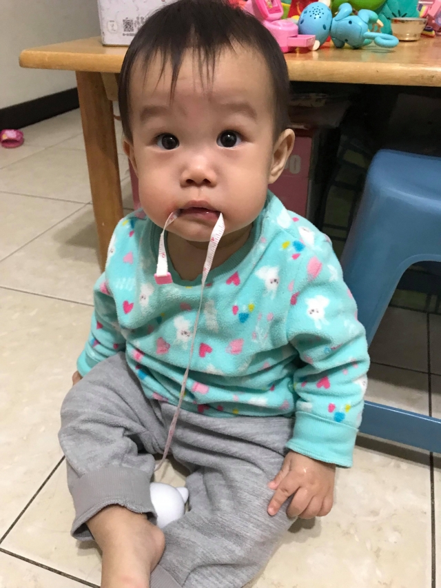 小布丁-萌寶寶大票選