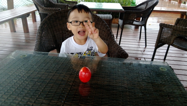 端午就要立蛋阿!-諾得達林立蛋趣