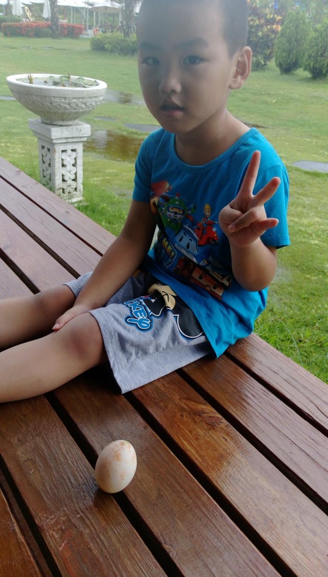 YA~~ 我的蛋立起來了-諾得達林立蛋趣