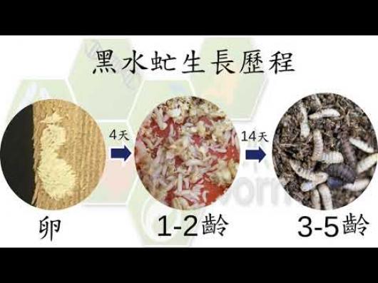 SM06蟲小道大 Wormax-2018全國循環經濟創意競賽