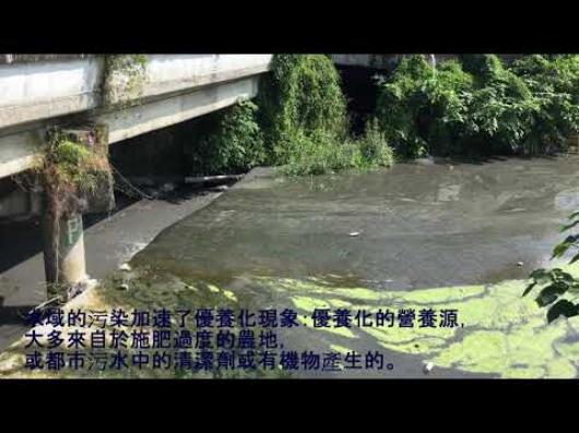 暗黑雲林-工業區的影響-107年【暗黑雲林 曙光再現】微視頻競賽活動-最佳人氣獎