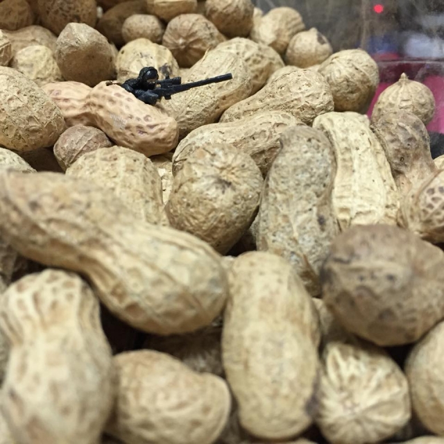 Lydia Lai-Train’s 高雄巨蛋週年蛋蛋本攝比賽