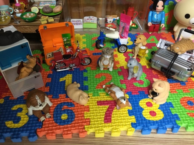 劉芸瑄2-Train’s 高雄巨蛋週年蛋蛋本攝比賽