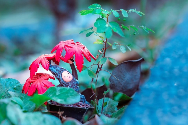 王雅誼1-Train’s 高雄巨蛋週年蛋蛋本攝比賽