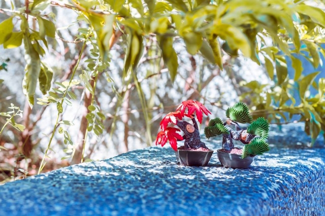 王雅誼2-Train’s 高雄巨蛋週年蛋蛋本攝比賽