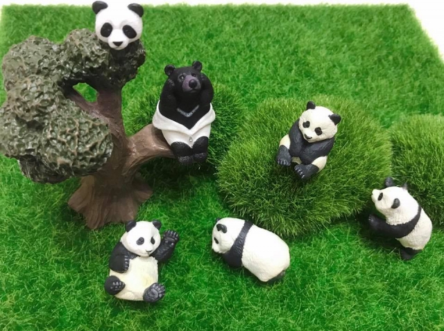 Rita Huang2-Train’s 高雄巨蛋週年蛋蛋本攝比賽