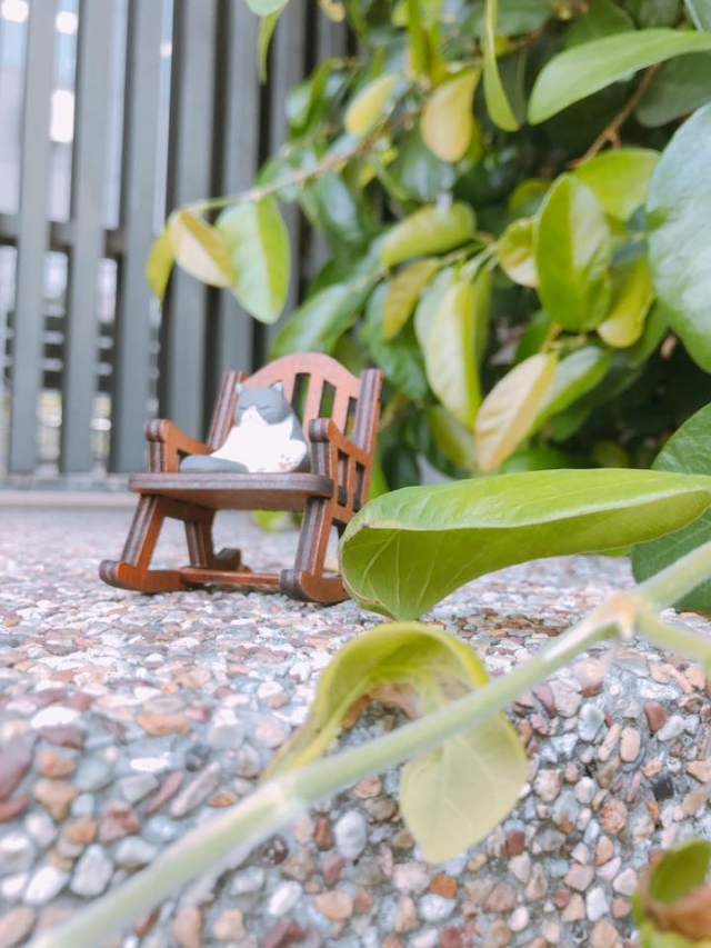 Rita Huang3-Train’s 高雄巨蛋週年蛋蛋本攝比賽