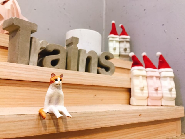 Rita Huang4-Train’s 高雄巨蛋週年蛋蛋本攝比賽