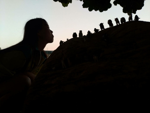 Hao-Min Chang2-Train’s 高雄巨蛋週年蛋蛋本攝比賽