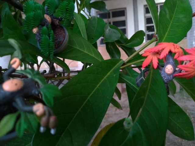 Hao-Min Chang 3-Train’s 高雄巨蛋週年蛋蛋本攝比賽