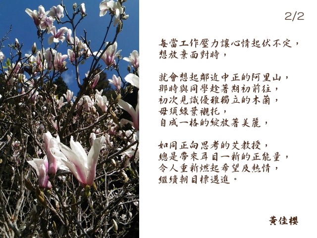 黃佳櫻- 中正企管專班：收穫分享