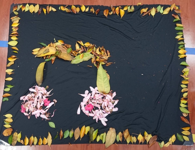 西北櫻桃-親子創作投票