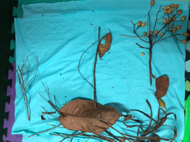 船-親子創作投票