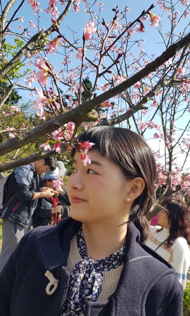 像女孩的櫻花-2019陽明山花季櫻花紛飛相聚時攝影大賽