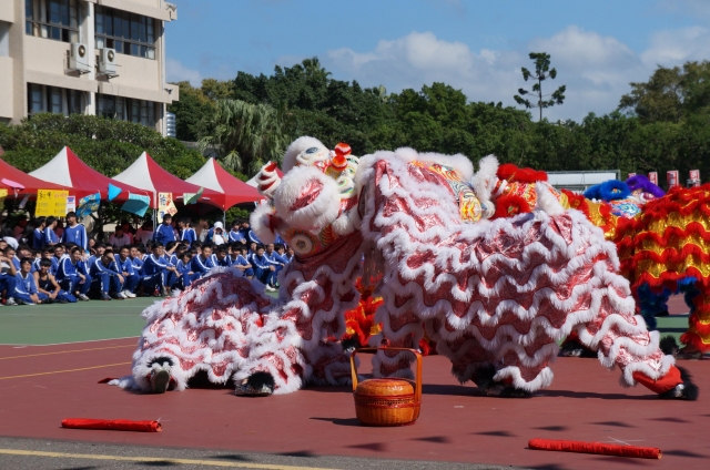 99-虎虎相爭-《2019捕捉宗影》攝影展網路票選活動