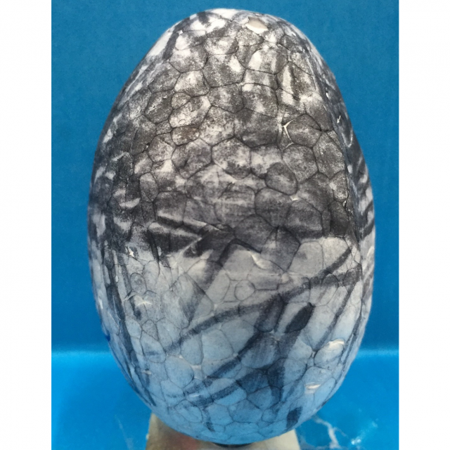 小黑蛋-創意彩蛋賽端午