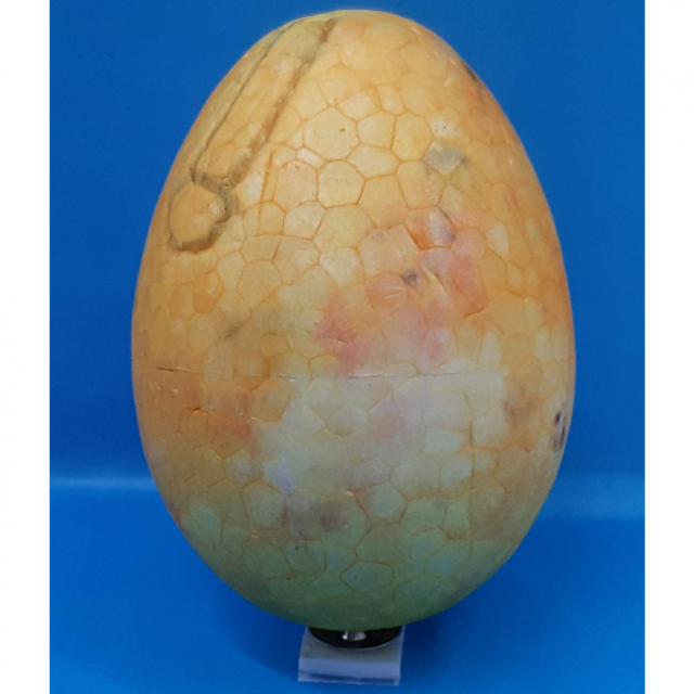 豆豆蟲開心慶端午-創意彩蛋賽端午