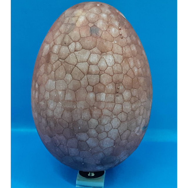 豆豆蟲覺得很熱-創意彩蛋賽端午