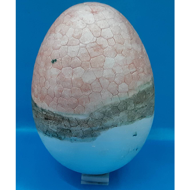 神奇寶貝蛋-創意彩蛋賽端午