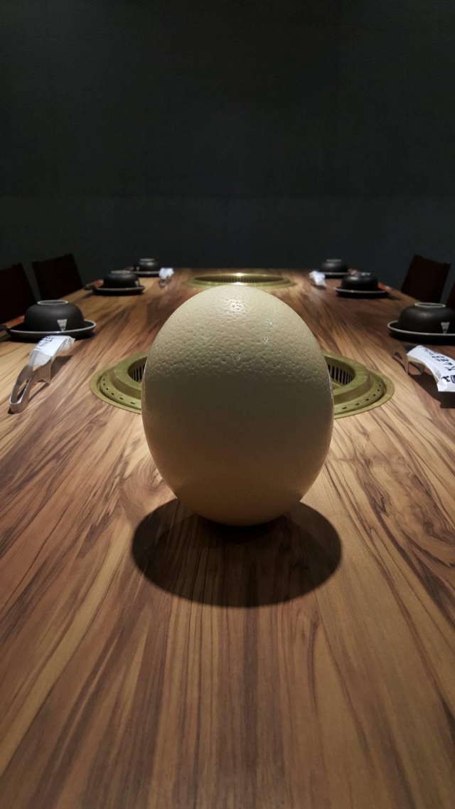 火山岩立蛋-趣味立蛋