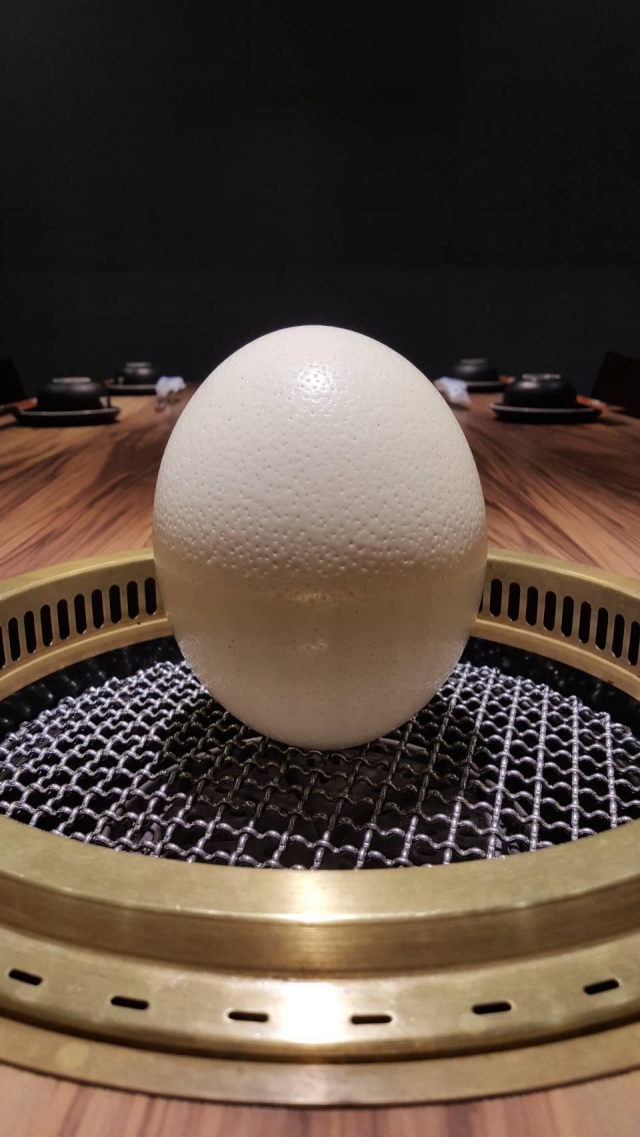 端午節要立蛋-趣味立蛋