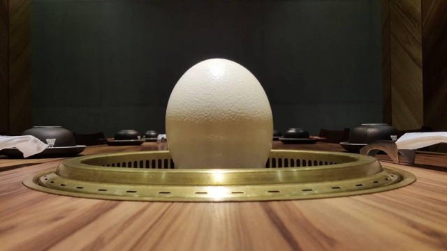 立蛋趣-趣味立蛋