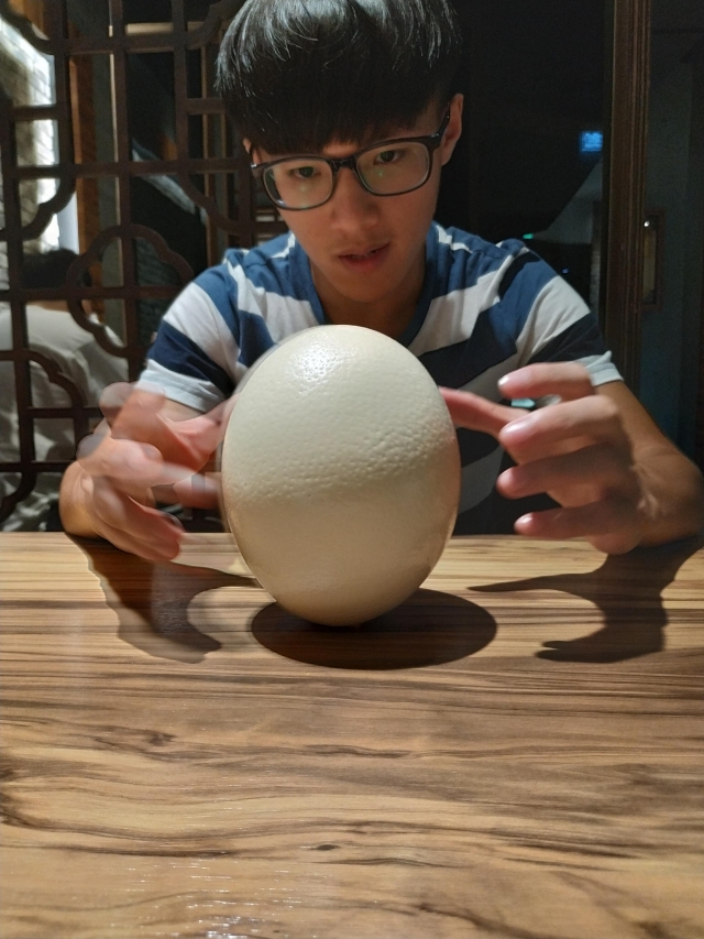 立蛋-趣味立蛋