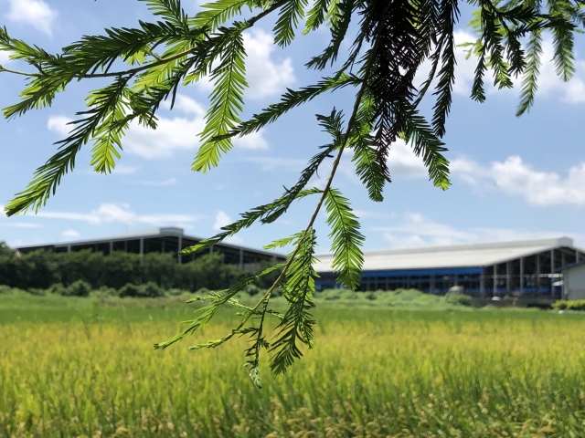 松語道-六甲之美~第三屆攝影比賽