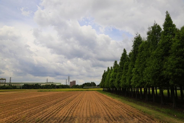 六甲之美-六甲之美~第三屆攝影比賽