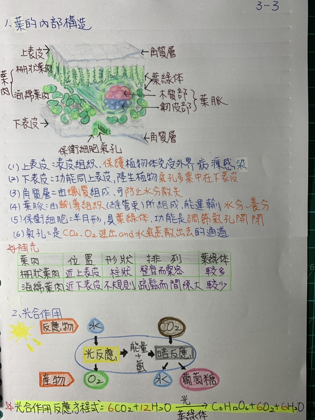 國中組2號-第一屆風雲盃獎學金 - 最狂讀書筆記網路票選活動