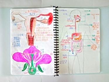 國中組4號-第一屆風雲盃獎學金 - 最狂讀書筆記網路票選活動