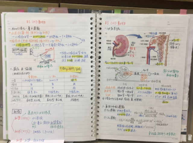 國中組6號-第一屆風雲盃獎學金 - 最狂讀書筆記網路票選活動