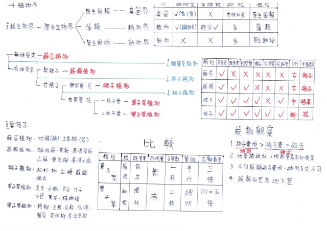 國中組12號-第一屆風雲盃獎學金 - 最狂讀書筆記網路票選活動