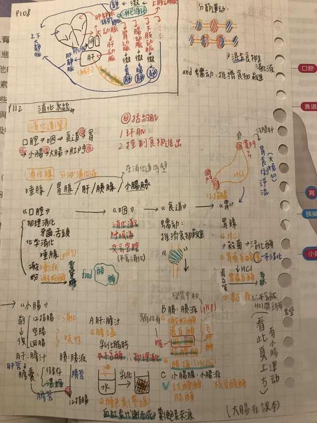 高中組3號-第一屆風雲盃獎學金 - 最狂讀書筆記網路票選活動