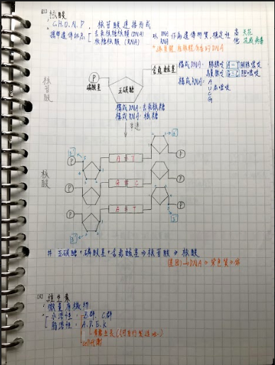 高中組10號-第一屆風雲盃獎學金 - 最狂讀書筆記網路票選活動