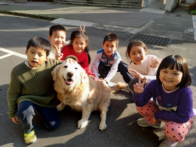 鄧公校犬天使 吉利與安安-新北市108年校園犬影片網路人氣票選活動