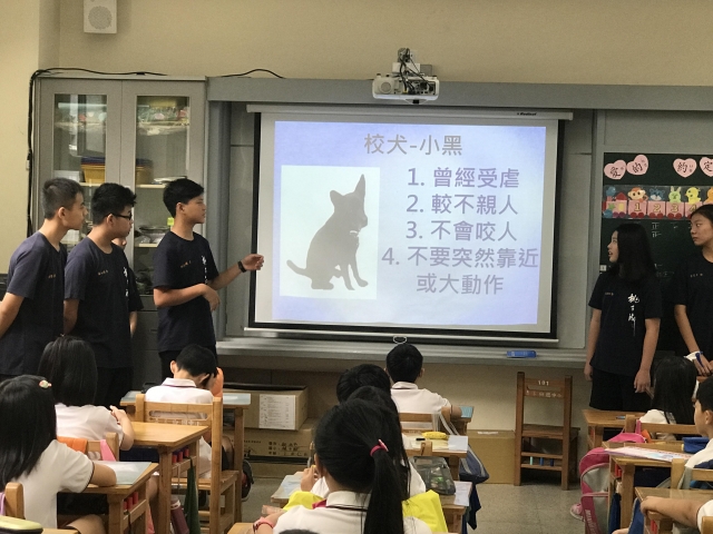桃子腳校犬~噜噜咪與小黑-新北市108年校園犬影片網路人氣票選活動