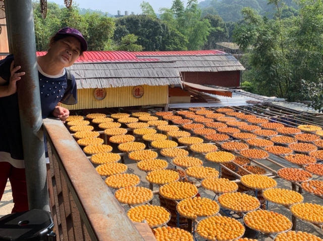 柿子滿滿-2019新埔鎮《鏡頭下的柿餅之鄉》網美攝影比賽