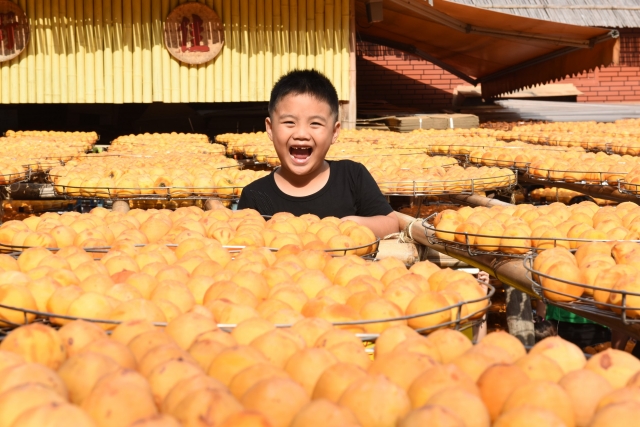 樂開懷-2019新埔鎮《鏡頭下的柿餅之鄉》網美攝影比賽