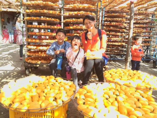 一起吃杮餅-2019新埔鎮《鏡頭下的柿餅之鄉》網美攝影比賽