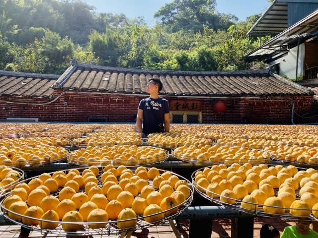 秋天的味道-2019新埔鎮《鏡頭下的柿餅之鄉》網美攝影比賽