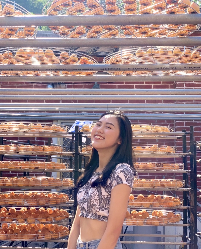 柿界這麼大-2019新埔鎮《鏡頭下的柿餅之鄉》網美攝影比賽