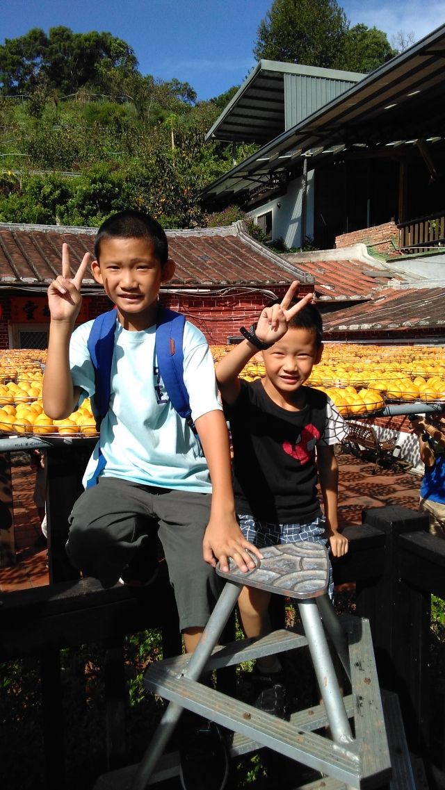 看兩兄弟背後是金黃色柿子-2019新埔鎮《鏡頭下的柿餅之鄉》網美攝影比賽