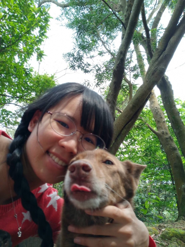 大寶貝(飼主陶X英)-不離不棄故事票選活動