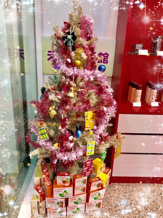 鳯山經武店-仙妮蕾德聖誕佈置競賽