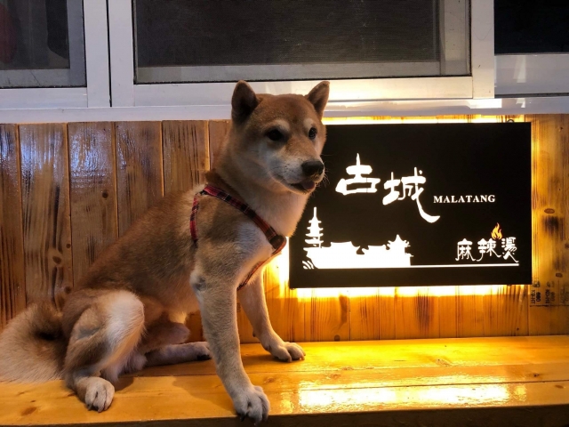 就是要（愛）吃古城麻辣燙❤️-古城麻辣燙照片票選