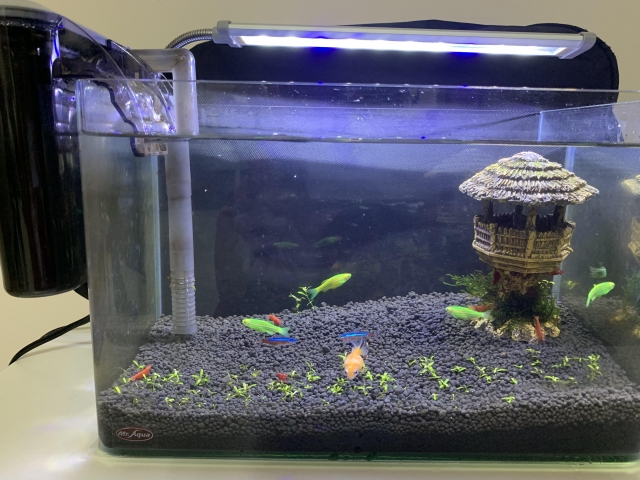 果菜園-MR.AQUA名人水族第一屆小資缸趣味造景人氣票選比賽活動
