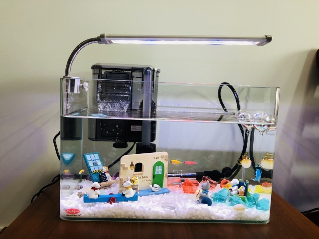 1-28號的家-MR.AQUA名人水族第一屆小資缸趣味造景人氣票選比賽活動
