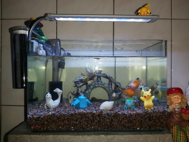 水中世界-MR.AQUA名人水族第一屆小資缸趣味造景人氣票選比賽活動