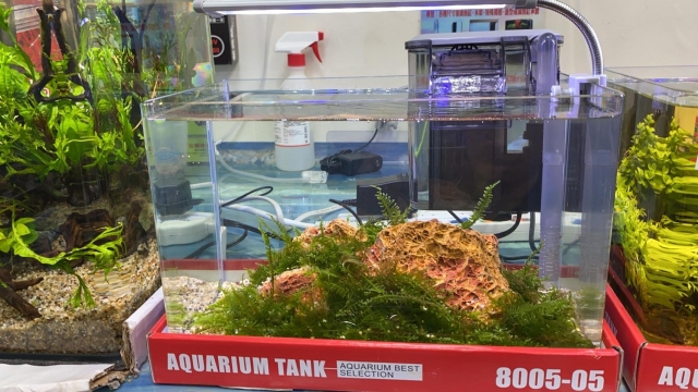 生命-MR.AQUA名人水族第一屆小資缸趣味造景人氣票選比賽活動